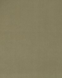 Forever Velvet Brindle by  Robert Allen 