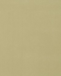 Forever Velvet Straw by  Robert Allen 