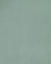 Forever Velvet Robins Egg by  Robert Allen 