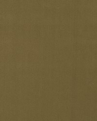 Forever Velvet Grain by  Robert Allen 