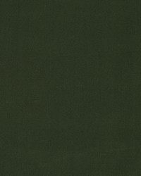 Forever Velvet Evergreen by  Robert Allen 