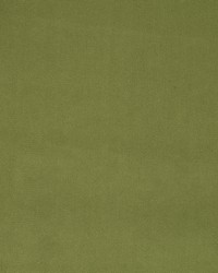 Forever Velvet Apple Green by  Robert Allen 
