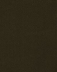 Forever Velvet Chocolate by  Robert Allen 