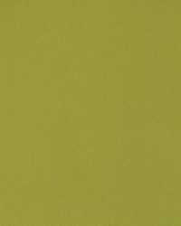 Forever Velvet Spring Grass by  Robert Allen 