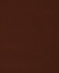 Forever Velvet Red Earth by  Robert Allen 