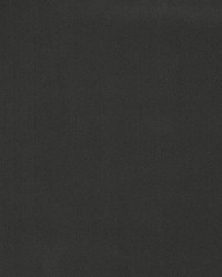 Forever Velvet Graphite by  Robert Allen 