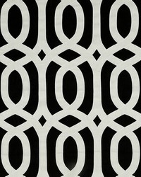 Figure Eight Night Sky by   