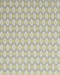 Shayna Ikat Linen by   