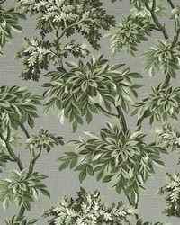 Sylvan Toile Greystone by  Collier Campbell 