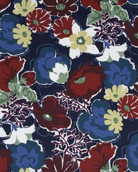 Splashy Garden Poppy by  Robert Allen 