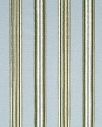 Ren Stripe RR Dew by  Robert Allen 