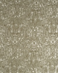 Ogee Paisley Bronze by   