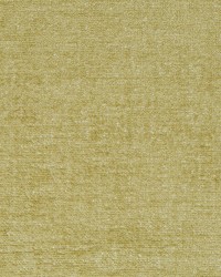 Plushtone Bk Gold Leaf by  Robert Allen 