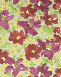 Evanthey Flora Poppy by   