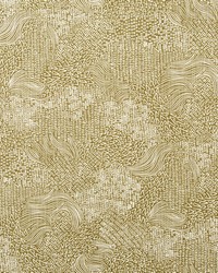 Sketchwork Amber by  Robert Allen 