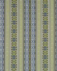 Tia Stripe Rr Calypso by  Robert Allen 