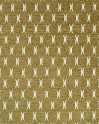 Plush Form Bk Amber by  Robert Allen 