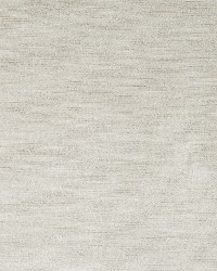 Lino Velvet Zinc by  Robert Allen 