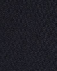 Nobletex Rr Bk Indigo by  Robert Allen 