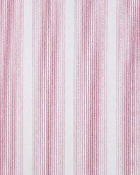 Tivoli Stripe Raspberry by   