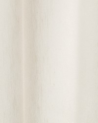 Chiffonette Birch by  Robert Allen 