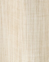 Ella Weave Grain by  Robert Allen 