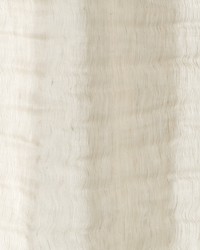 Fine Lines Buff by  Robert Allen 