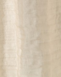 Fine Lines Cashew by  Robert Allen 