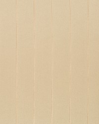 Omni Stripe Sandstone by   