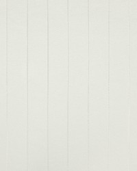 Omni Stripe Cream by   