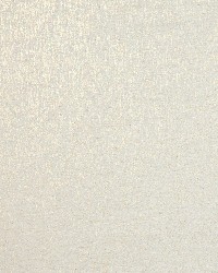 Navis Glimmer Sandstone by  Robert Allen 