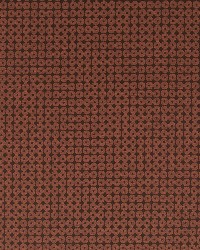 Cata Rings Sepia by  RM Coco 