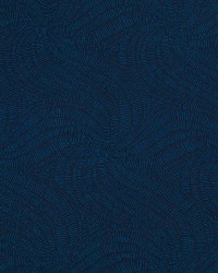 Gibbs Swirl Calypso by  Robert Allen 