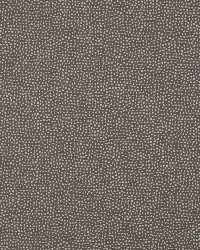 Flicker Bk Charcoal by  Robert Allen 