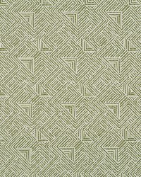 Folded Maze Bk Leaf by  Robert Allen 