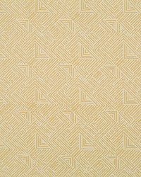 Folded Maze Bk Zest by  Robert Allen 