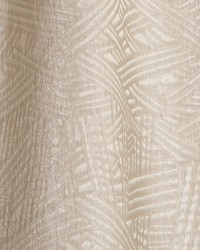 Ebb And Flow Abalone by  Robert Allen 