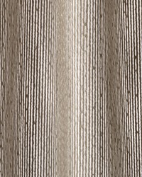 Ray Avenue Abalone by  Robert Allen 