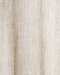 Static Rise Abalone by  Robert Allen 