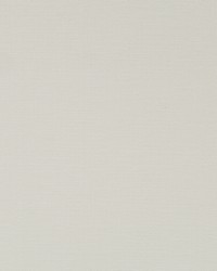 Soft Focus Bk Cream by  Robert Allen 