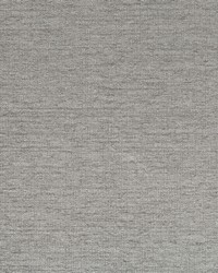 Soft Focus Bk Greystone by  Robert Allen 