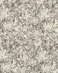 Mori Bk Citrine by  Robert Allen 