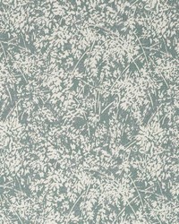 Mori Bk Cove by  Robert Allen 