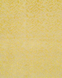 Falling Petals Citrus by   