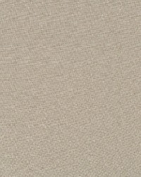 Durable Linen Flax by   