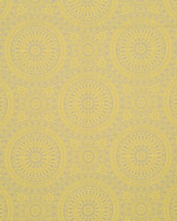 Space Oddity Citrus by   