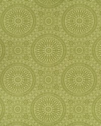 Space Oddity Aloe by   