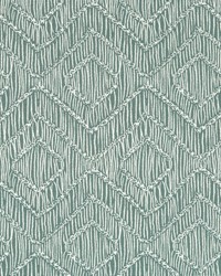 Rattan Geo Bk Aloe by   