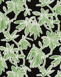 Hello Hidcote Nightfall by   