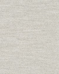 Boucle Glam Driftwood by  Robert Allen 